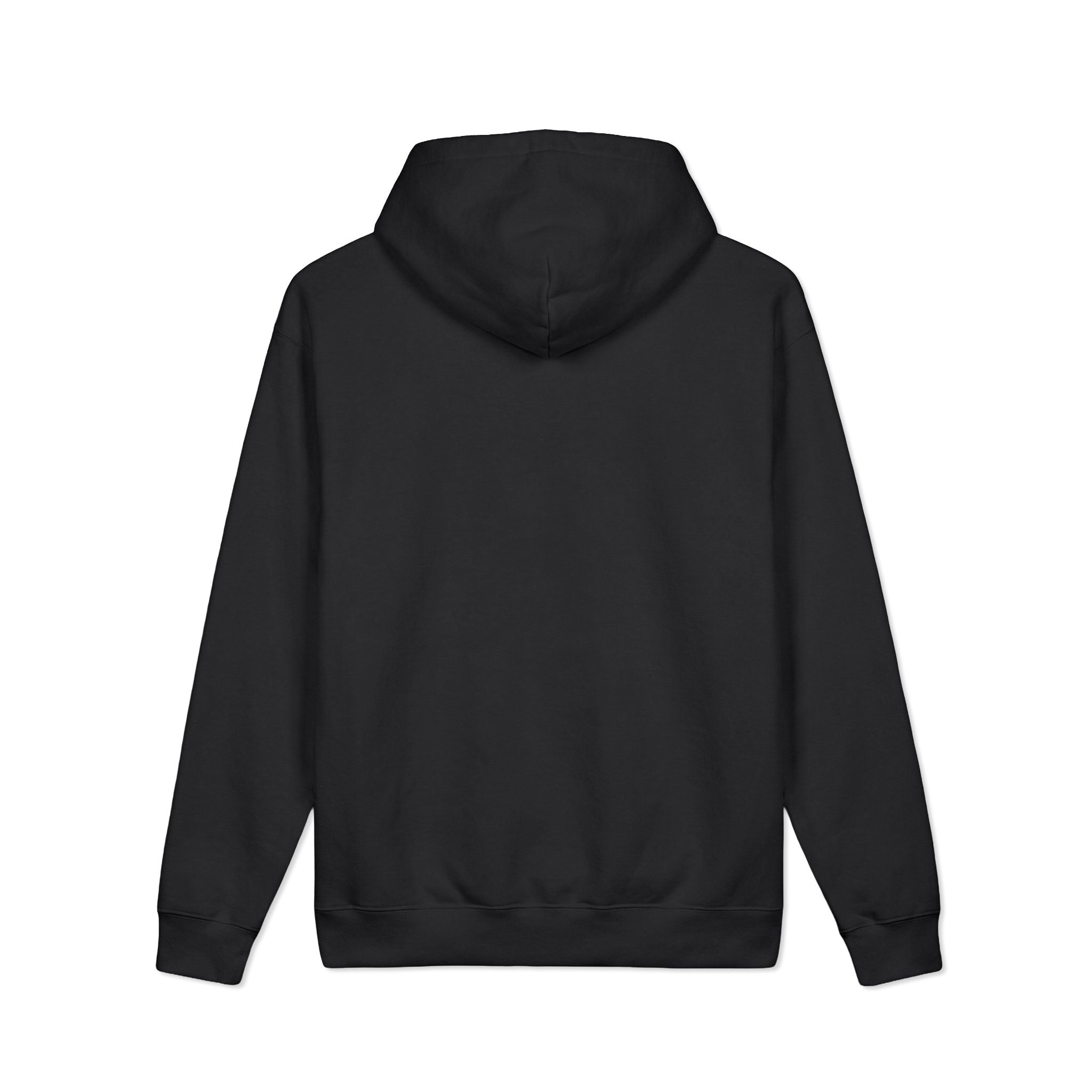The Future is Fluid - Hoodie